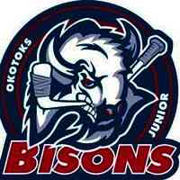 Okotoks Bisons