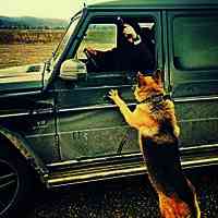 احمد القذافي