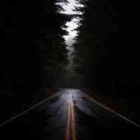 محمد الأمين محي الدين