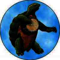 terrapinsummercouch5