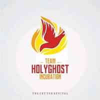 THGI NETWORK INTERNATIONAL