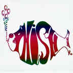 phishmexico2020replays