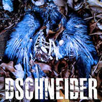 DSchneider