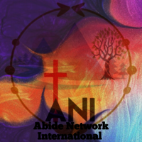 ABIDE Network International