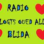 radio 150 logts oued alleug blida