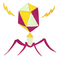 Community Transmission