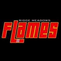 Flameshockey