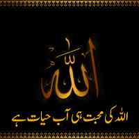 Molana saqib navsari