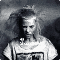 Shaundi DNB Frequencies