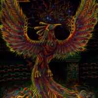 eight2theuniverse