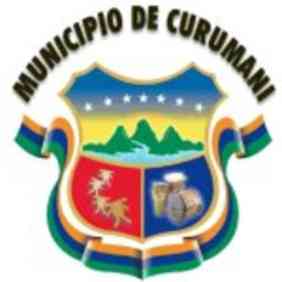 Curuma