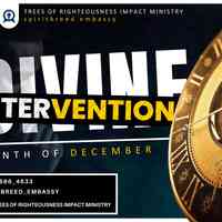 Trees Of Righteousness Impact Ministry