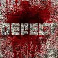 DEFECT Dubs