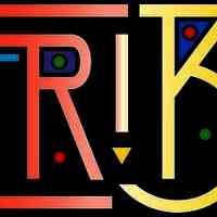 tribecollectivenyc